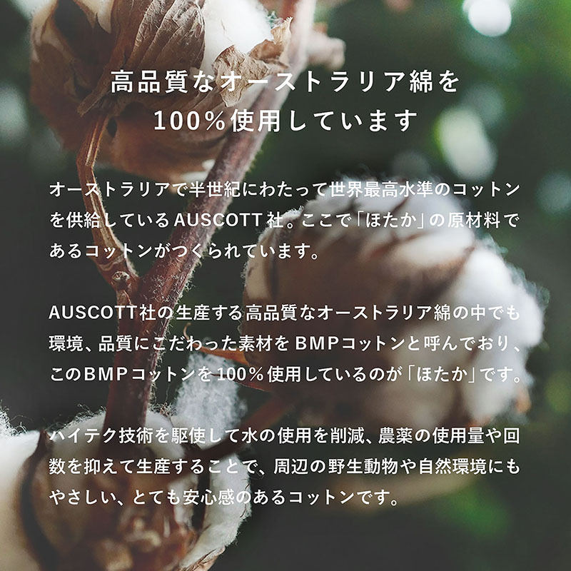 カラーバリエーション