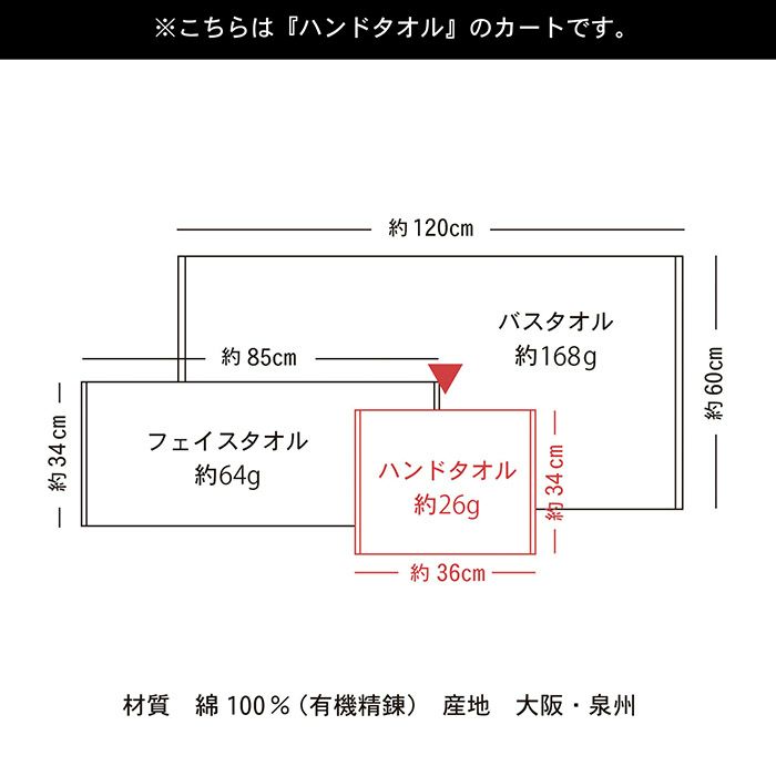 サイズ詳細