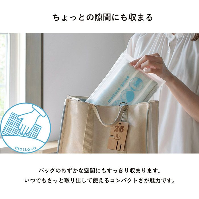 専用パッケージ入りで持ち運びやすい